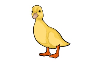 Bringing Personality to Projects with Duck Illustrations