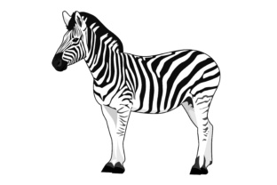 Exploring Zebra Illustrations: A Modern Creative Asset