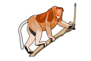 Monkey Illustrations: A Playful Asset for Modern Branding