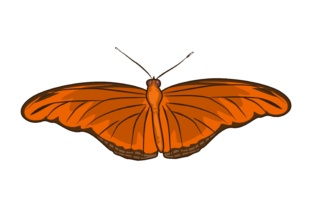 Warmth and Movement: Unlocking the Potential of Butterfly Illustrations - Orange/Red